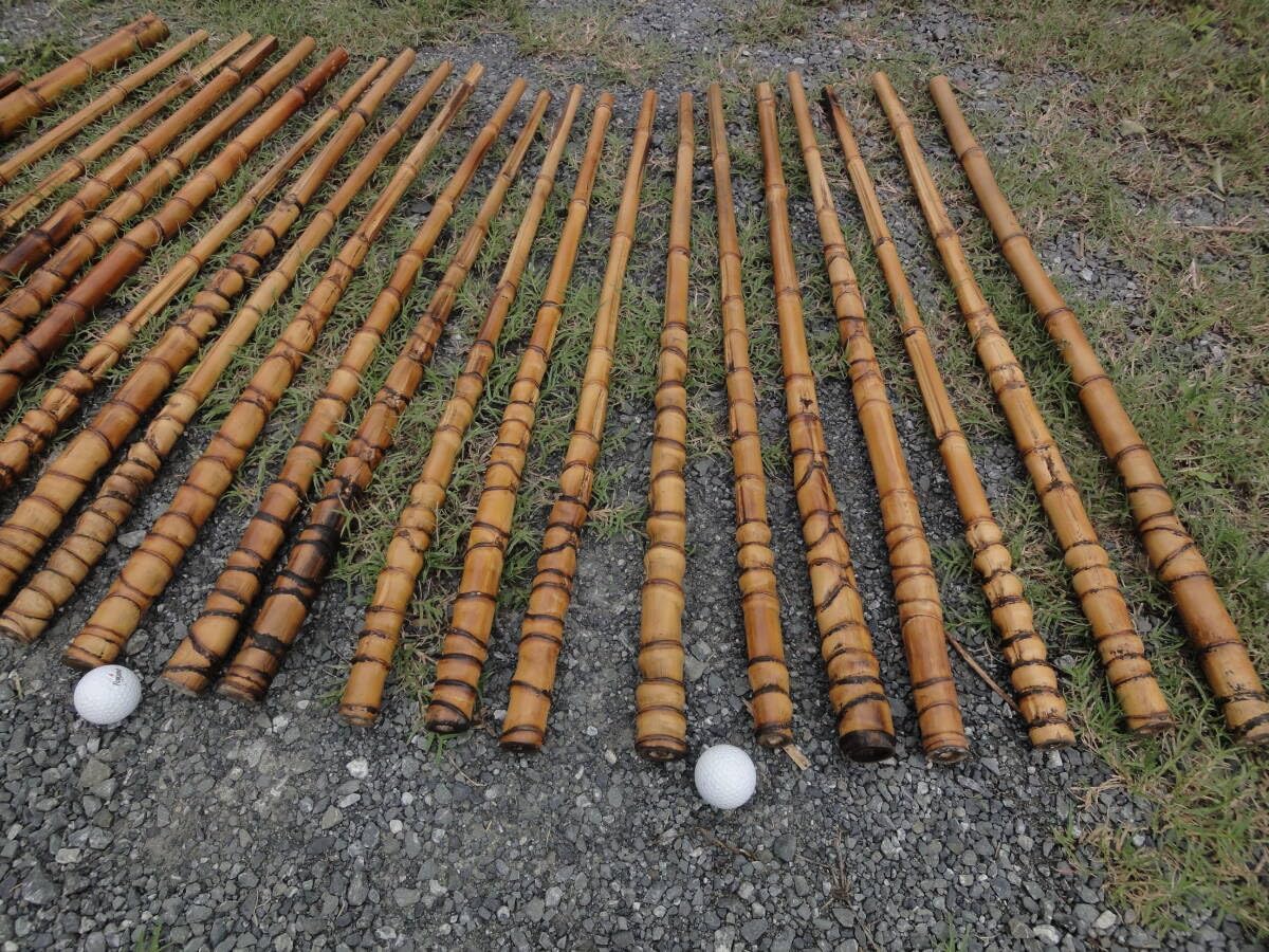 布袋竹根っこ付き6本セット タナゴ竿 一本物 竹竿 和竿 RNO19和